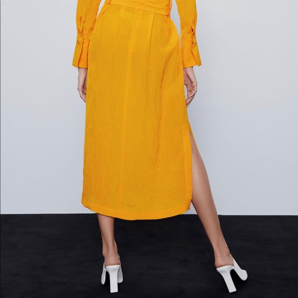 Zara Belted Midi Dress - Picture 5 of 7